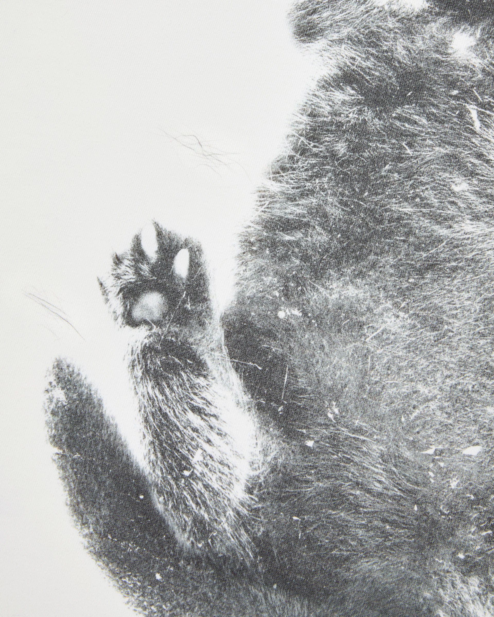 ADERERROR - Blue cat t-shirt 02