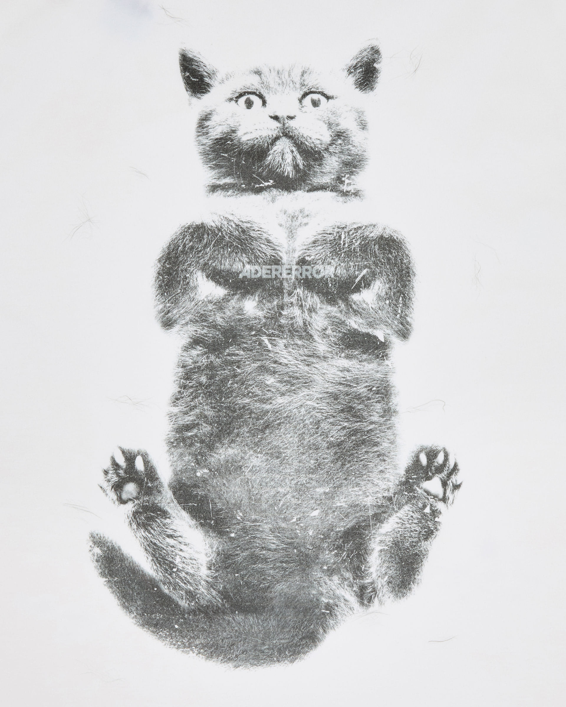 ADERERROR - Blue cat t-shirt 02